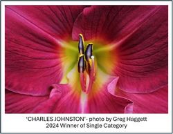 Charles Johnston - photo by Greg Haggett